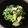 Bau109's cooksnap of when they made ほうれん草の卵サラダ.