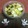 モモッティ's cooksnap of when they made 切って置いとくとだけ！白菜の漬物！.