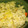 wさちw's cooksnap of when they made さつま芋とエリンギの炊き込みご飯☆☆.