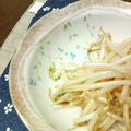 キョク's cooksnap of when they made シンプルに★もやしのオイスターソース炒め.