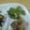 堕天使M's cooksnap of when they made 絶品！ちぎりこんにゃくと大根♡おかか炒め.