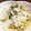 しのき's cooksnap of when they made 白菜とささみの粒マスタードサラダ♪.