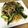 クックGC9Y5I☆'s cooksnap of when they made 簡単☆もやしとオクラの搾菜ナムル.