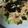 クック5KIH4N☆'s cooksnap of when they made 5分でできちゃう和風な海苔サラダ☆.