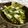 ☆Rokko☆'s cooksnap of when they made 胡麻香る納豆サラダ.