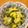 ねぎちゃん☆Ｙ☆Ｍ's cooksnap of when they made 白菜と青ねぎのナムル.