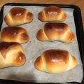 このちき's cooksnap of when they made バターロール.