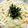max4995's cooksnap of when they made 簡単明太子マヨネーズうどん☆.