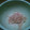 クック1009's cooksnap of when they made もやしのたらこ大葉マヨネーズ和え.