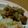 ナーちゃん's cooksnap of when they made 節分豆で＊レンジで簡単♪無限ゴボウ豆.