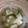 くにちぃともん's cooksnap of when they made はちみつ大根〜風邪のひきはじめ、咳に.