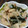 クックUPFDDQ☆'s cooksnap of when they made あっさり味＊モヤシとわかめのサラダ＊簡単.