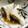 ううたん☆'s cooksnap of when they made はんぺん挟みバーグの和風煮込み【作りおき.