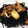 Bau109's cooksnap of when they made 牡蠣のいか塩辛炒め.