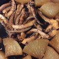 hiro_ak's cooksnap of when they made イカと大根の煮物.