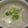 ジョングレ's cooksnap of when they made 豆苗ワンタンスープ.