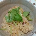 ゆきんこななこ's cooksnap of when they made 入れて炊くだけ！簡単・たこめし。.