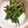 ミストフェアリー's cooksnap of when they made 醤油麹でコク♪いんげんの胡麻和え.