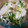 鬼嫁軍曹's cooksnap of when they made ささみと豆苗とれんこんのさっぱり梅和え.