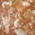けωぞ's cooksnap of when they made 濃厚！鶏むね肉とえのきのケチャップ煮♡.