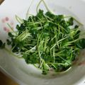 もりのりころ's cooksnap of when they made 貝割れ大根のおかか和え.