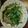 Miyuki1003's cooksnap of when they made 豚と青梗菜の中華炒め.