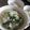 ちばたま's cooksnap of when they made 超簡単！ニラ玉雑炊.