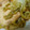 クックUBEBMF☆'s cooksnap of when they made 簡単！白菜とツナとあげの煮物.