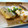runa10's cooksnap of when they made さんまのムニエル梅おろし.