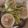 ぱるか♪'s cooksnap of when they made カブとシイタケのエビすり身蒸し.
