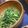 のんぷ's cooksnap of when they made 春のコールスロー.