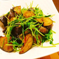 ☆糖質減らしてます☆'s cooksnap of when they made 豆苗となすのオイスターソース炒め.