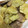 クックNH4IN9☆'s cooksnap of when they made ★キャベツと椎茸と豚肉の甘辛炒め★.