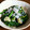 めだかぷらす's cooksnap of when they made ほうれんそうとシラスのお浸し.