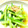かざぴー's cooksnap of when they made ヘルシー！小松菜と桜えびのさっと煮！.