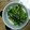 SANAE500's cooksnap of when they made 小松菜とツナのさっぱり和え.