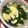 ひなたぼっこまま's cooksnap of when they made ニラと卵の中華スープ.