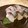 さるちゃんばなな's cooksnap of when they made 鯖の棒寿司.