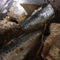 Koro913's cooksnap of when they made イワシの梅煮.