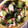 農家嫁スターチス's cooksnap of when they made たこときゅうりの酢の物.