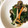 25c's cooksnap of when they made ほうれん草のごま和え.