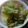 あまね's cooksnap of when they made 柑橘のサラダ.
