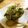 広野のタイタン's cooksnap of when they made 簡単☆ツナと大根おろしでアボカドココット.