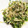 ikaöru's cooksnap of when they made 豆苗ともやしのナムル.