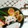 ﾋﾟﾝｸ☆ﾏｶﾛﾝ's cooksnap of when they made お弁当おかず♪ちくわのにんじんさん！.