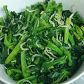 Tama家's cooksnap of when they made ほうれん草とじゃこ胡麻和え.