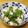 ぽりぽり拓庵's cooksnap of when they made 美味しい！菜の花とささみのゴマドレサラダ.