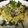 クックPWXRCI☆'s cooksnap of when they made ツナ缶で！簡単わさびマヨパスタ♡.