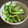 ひさかた's cooksnap of when they made ししとうを焦がし醤油でいただく.