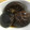 もぐたんぬ's cooksnap of when they made yaichinの常備菜　椎茸のうま煮.